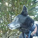 Annie Silver Photo 6