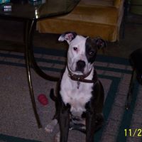 Tommy Wyatt Photo 39