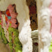 Samantha Masters Photo 22