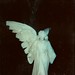 Angel Gore Photo 13