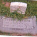 Raymond Frazier Photo 10