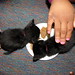 Annie Foster Photo 29