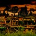 Lorena Ray Photo 14