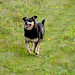 Jodie Green Photo 11
