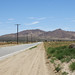 Michael Robbins Photo 17
