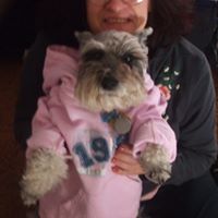 Ilene Robbins Photo 5
