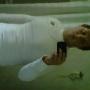 Brian Whipple Photo 24
