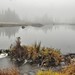 Misty Ford Photo 20