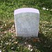 Andrew Ill Photo 7