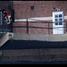 Ollie Quick Photo 3