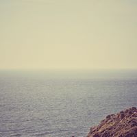 Daniel Mutch Photo 3