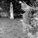 Robin Milne Photo 5