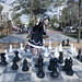 Sarah Crocker Photo 32