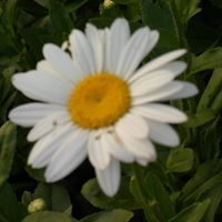 Debbie Bloom Photo 26