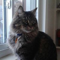 Leo Gauthier Photo 9