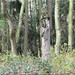 Regina Woods Photo 14