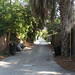 Esther Parker Photo 5
