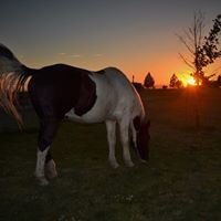 Lisa Schuster Photo 22