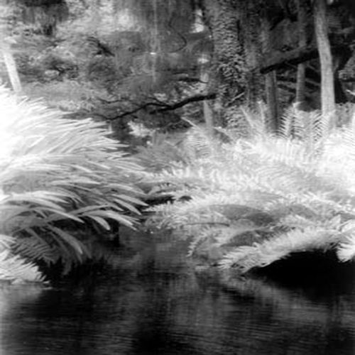 Alice Peters Photo 17