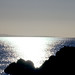 Sandy Galloway Photo 36