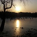 Wei Hu Photo 18