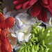 Cathy Flowers Photo 22