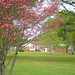 Connie Maxwell Photo 37