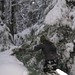 Jeremy Snow Photo 22