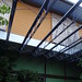 Debra Blum Photo 15