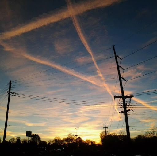 Dorothy Jones Photo 17