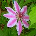 Jay Moser Photo 8