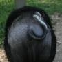 Debra Becker Photo 4