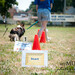 Todd Starr Photo 41