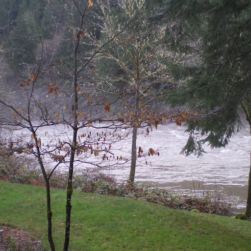 Joanne Graham Photo 7