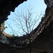 Charles Savoie Photo 16