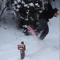 Nicholas Hill Photo 15