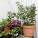 Anne Lam Photo 24