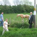 Sandra Maher Photo 29