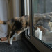 Amy Diers Photo 4