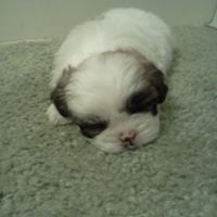 Peggy Warren Photo 14