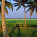 Dawn Rice Photo 19