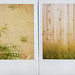 Jason Weed Photo 11