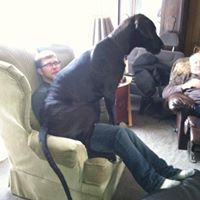 Mitchell Carr Photo 14