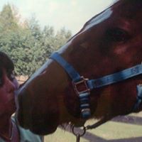 Cheryl Kramer Photo 31