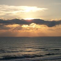Kathy Wolf Photo 29