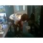Tyesha Robinson Photo 18