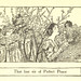 Elizabeth Shippen Photo 7