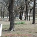 Austin Plummer Photo 10
