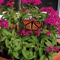 Joanne Miller Photo 6