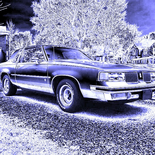 Robert Toney Photo 36